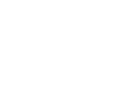 Vector.png